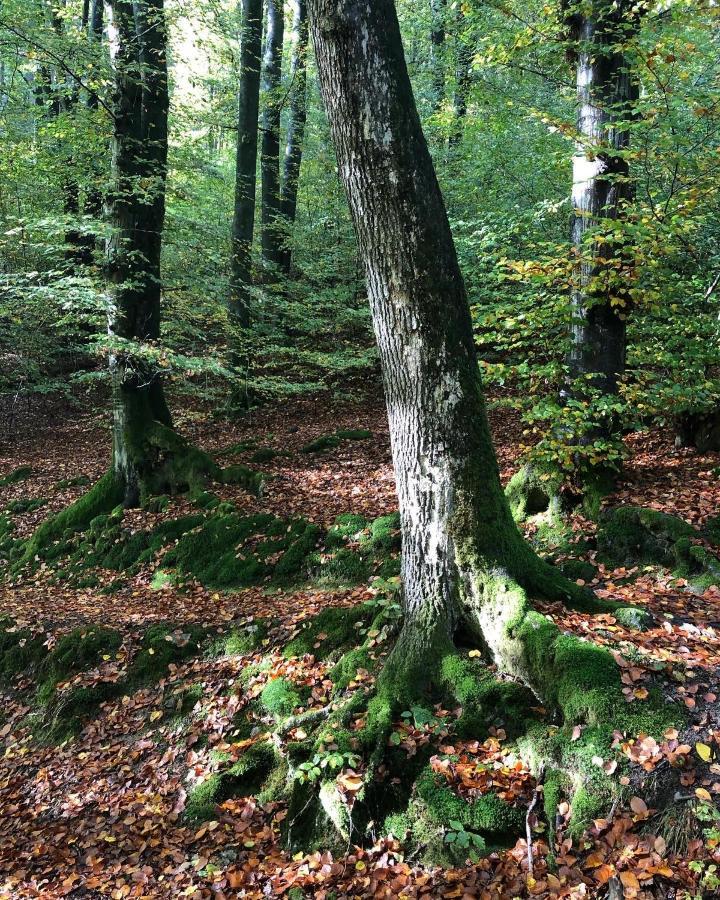 Gartenblick Leichlingen Εξωτερικό φωτογραφία