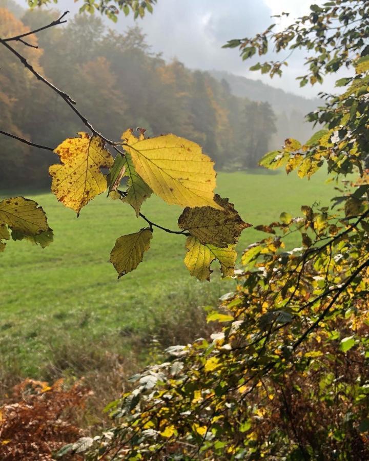 Gartenblick Leichlingen Εξωτερικό φωτογραφία