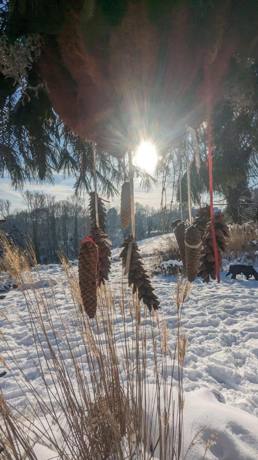Gartenblick Leichlingen Εξωτερικό φωτογραφία