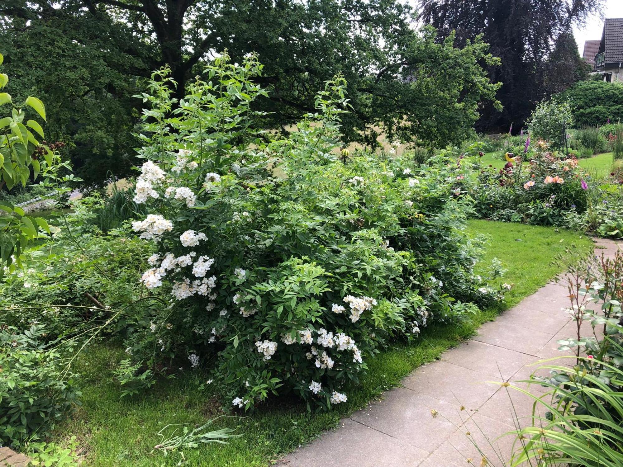 Gartenblick Leichlingen Εξωτερικό φωτογραφία