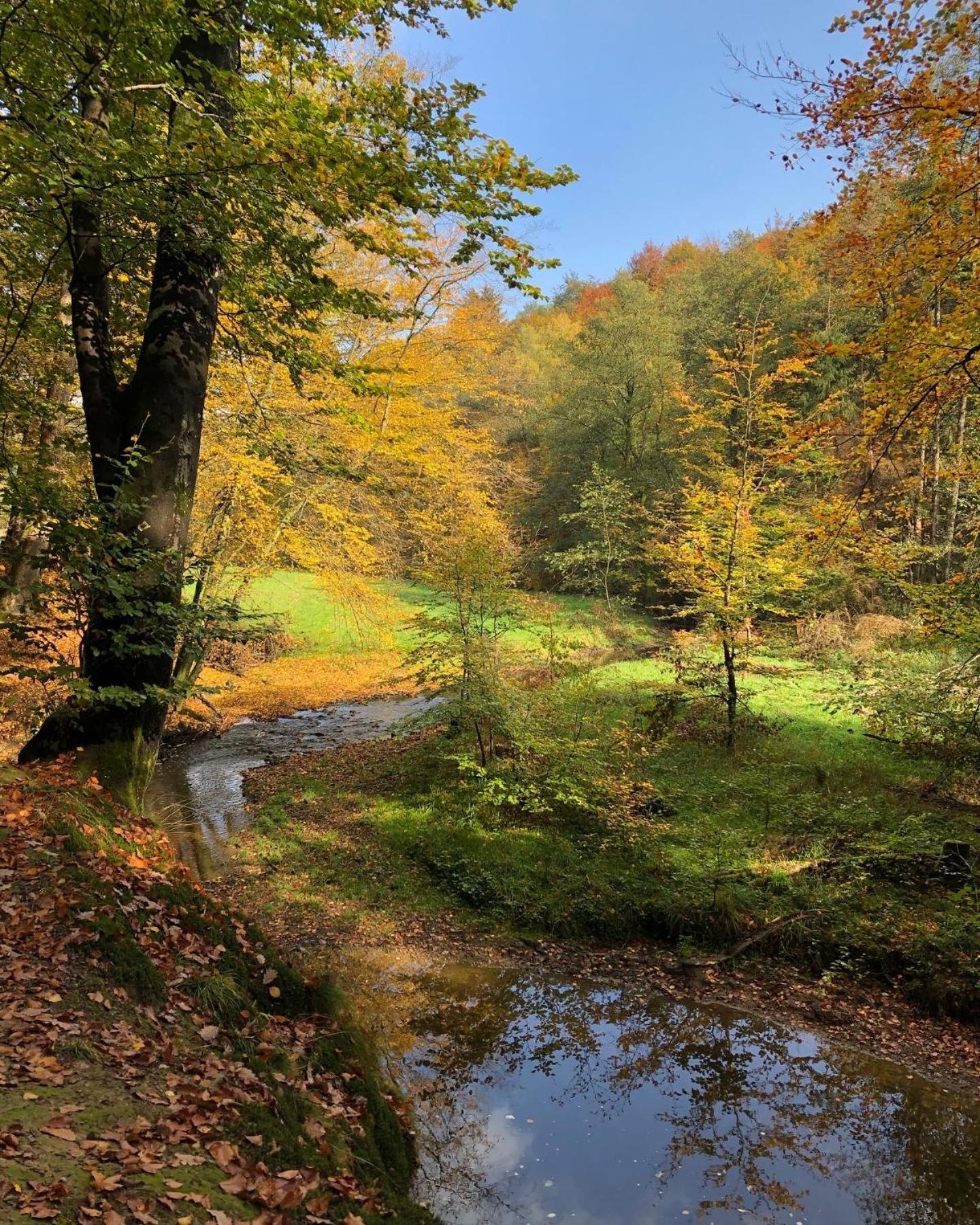 Gartenblick Leichlingen Εξωτερικό φωτογραφία