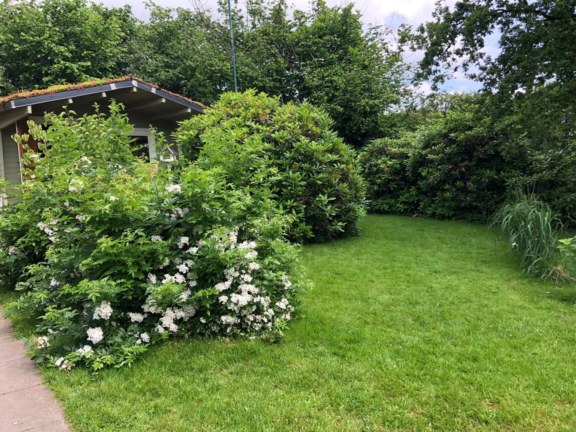 Gartenblick Leichlingen Εξωτερικό φωτογραφία