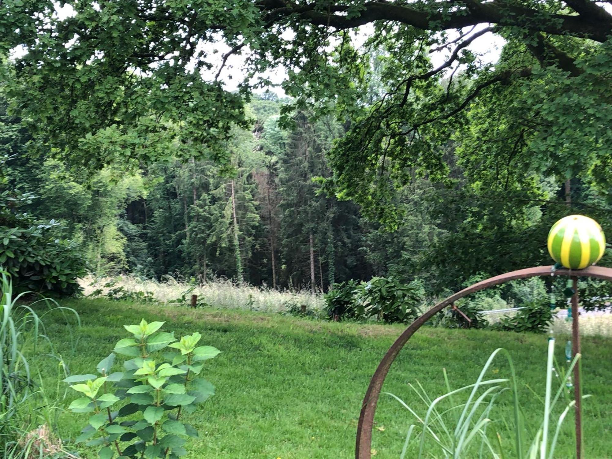 Gartenblick Leichlingen Εξωτερικό φωτογραφία